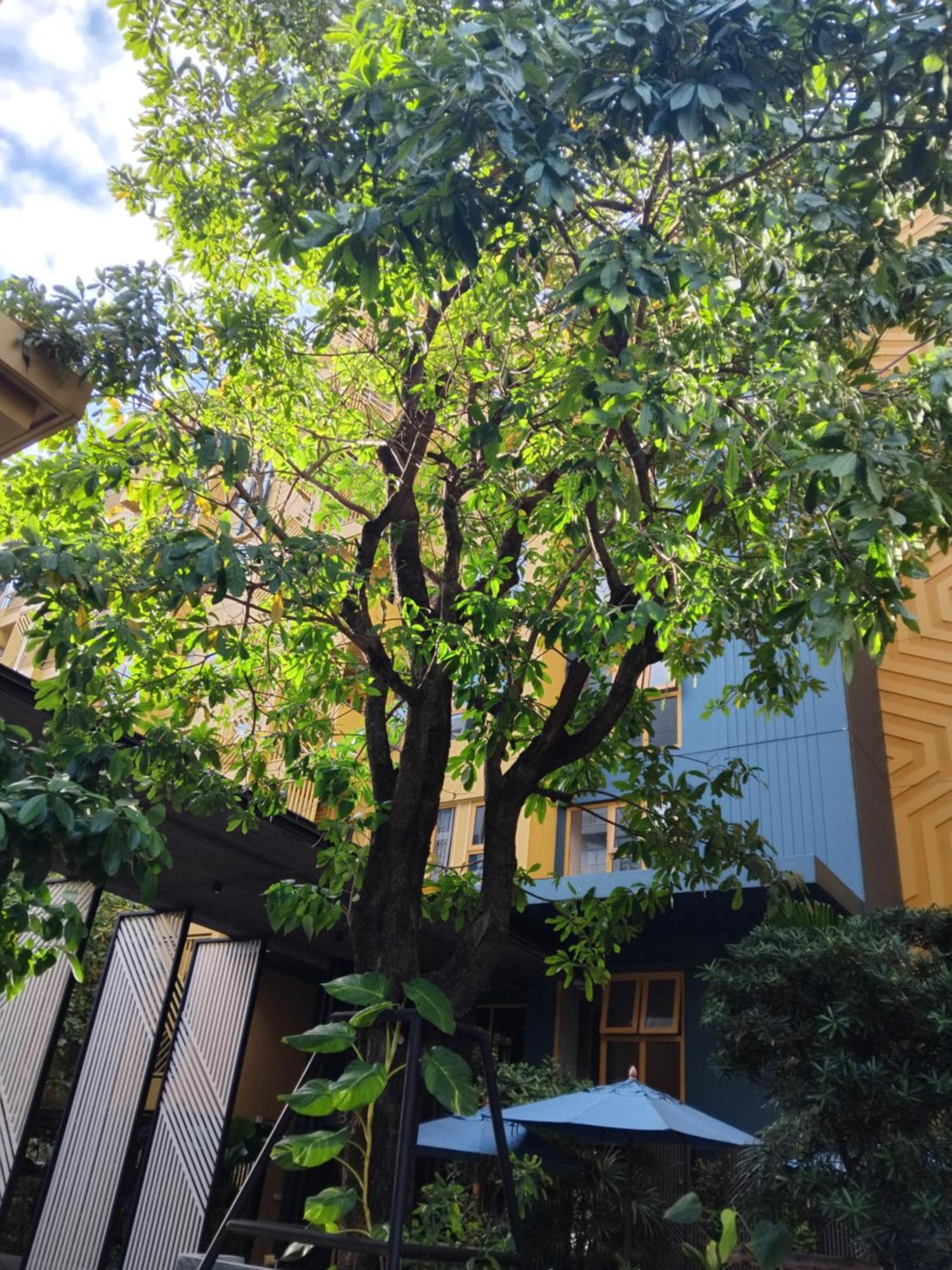Brissluxe At Bts Onnut Sukumvit 50 Apartamento Banguecoque Exterior foto